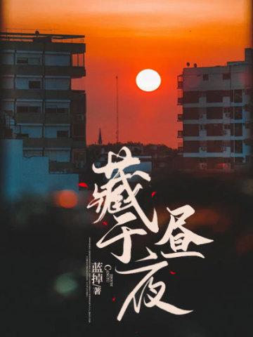 藏于昼夜